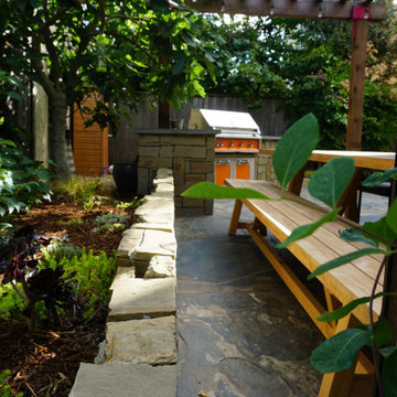 Hot Colors, Cool Garden