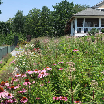 Colorful Cottage Garden