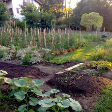 Potager