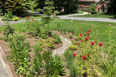 This is an example of a full sun river rock landscaping in DC Metro for summer.