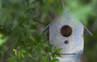 Be a Citizen Scientist to Help Wildlife, Learn and Have Fun Too