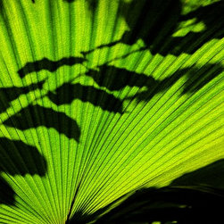 Fine Art Photography - Digital paintings - Products