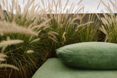 Inspiration for a contemporary landscaping in Orange County.