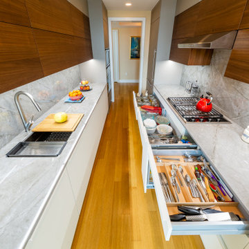 Leicht Kitchen renovation - Ariel Building