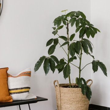 Décoration d'une maison de location