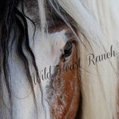 Bobbie Crawford's photo