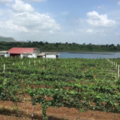 Vidula Warawdekar's photo