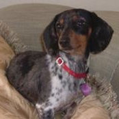 Kathy Greenmun's photo