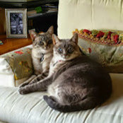 Lorraine Bernstein's photo