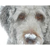 Jodie Lemmon's photo