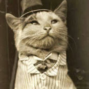 Chris Fitzpatricks foto