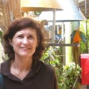 Dianne Laing's photo