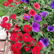 Kerry Graff's photo