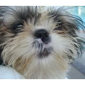 Linda Fain's photo
