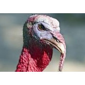 Nathan Tex's photo
