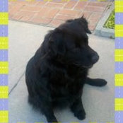 Margo Kaatz-Greider's photo