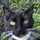 lynn_dean16