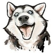 Эммануил Бритвенко's photo