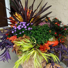 Flower pots