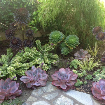 Corona del Mar residence