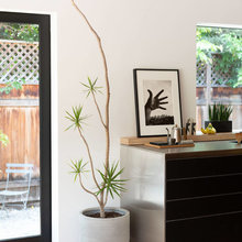 Indoor Plants