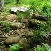 Dry Stream Beds