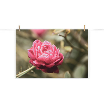 Perfect Petals Colorized Floral / Botanical Nature Photo Unframed Wall Art Print, 24" X 36"
