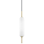 Mitzi by Hudson Valley Lighting - Miley 1 Light Pendant, Opal Shiny, Aged Brass - Features: