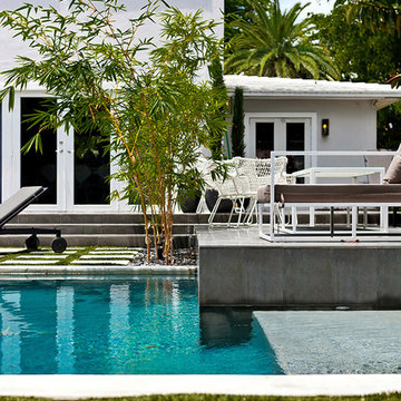 Residential Feature: The Neighbors