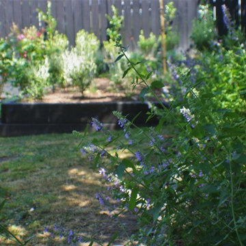 Coastal Cottage Garden