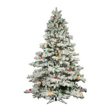Wish List
