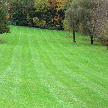 Our Work