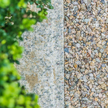 Detail of Japanese Holly, Granite Edge and Gravel Walkway