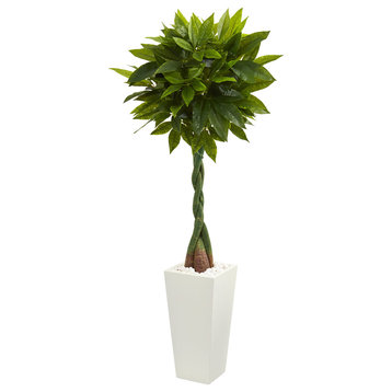 5.5' Money Artificial Tree, White Tower Planter, Real Touch