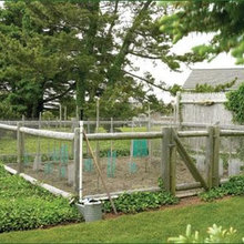 Herb Garden ideas