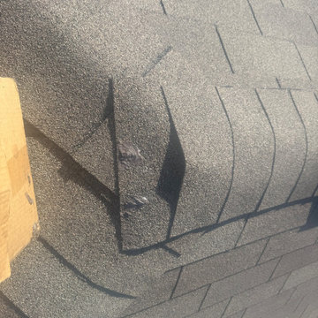 Roof Tune Up