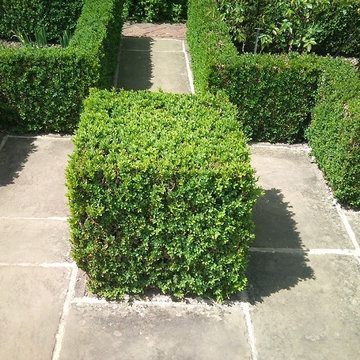 Our Work