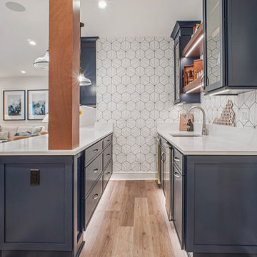 Vienna Lower Level Remodel