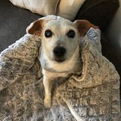 Shannon Galliers's photo