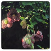 Penny Rosenthal's photo