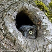 Vicki Lynn's photo