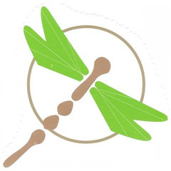 Touchstone Landscapes