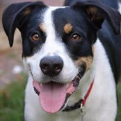 Lisa Galipeau's photo