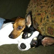 Vicki Ladshaw's photo