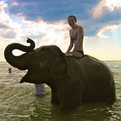 Maggie MacDonald's photo