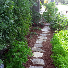 Landscape Ideas