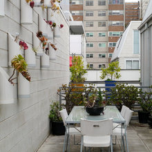 Herb Garden