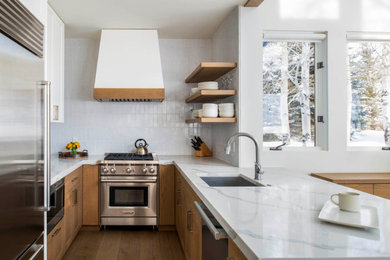 Kitchen - modern kitchen idea in Other