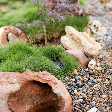 Zen Garden and Asian Inspired Landscape Plants