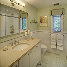 violingal4's guest bathroom